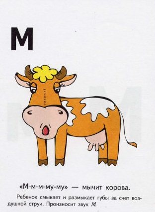 x_5ebef063.jpg