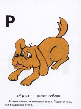 x_7736e58e.jpg
