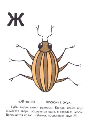 x_7887cf49.jpg